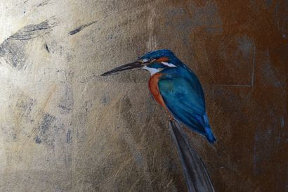 kingfisher by Jackie Morris