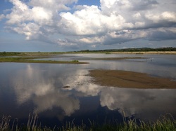 Titchwell Marsh copyright Laurence Rose