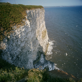 bempton cliffs